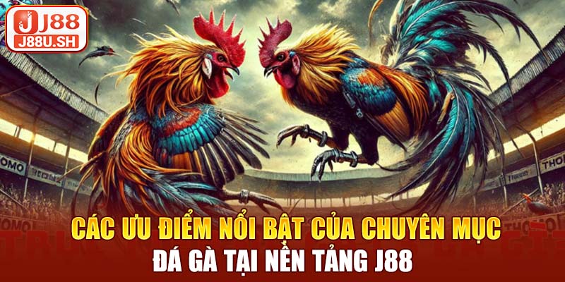 Các ưu điểm nổi bật của chuyên mục đá gà tại nền tảng J88