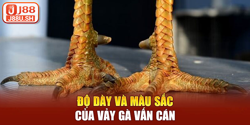 Nó có sự đa dạng nhất định, tùy thuộc vào độ dày, màu sắc và hình dạng.