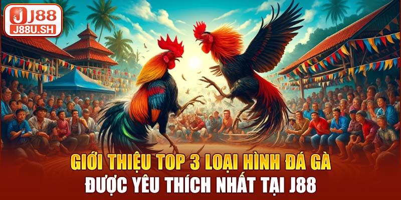 Giới thiệu top 3 loại hình đá gà được yêu thích nhất tại J88
