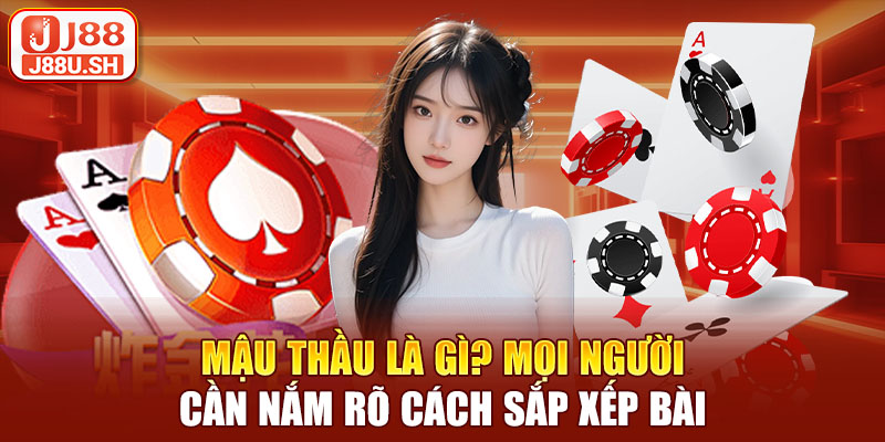 Mậu thầu là gì? Mọi người cần nắm rõ cách sắp xếp bài